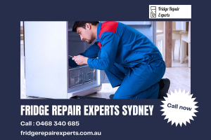 Fridge Repair Experts Sydney