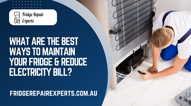 What Are The Best Ways To Maintain Your Fridge & Reduce Electricity Bill?