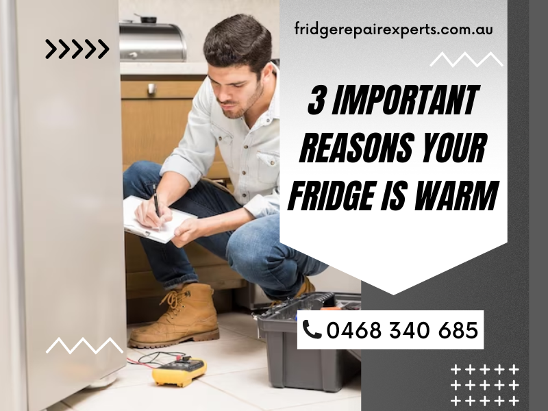 3 Important Reasons Your Fridge Is Warm