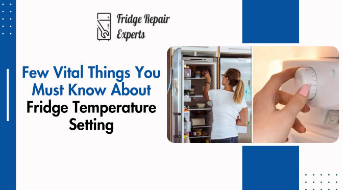Few Vital Things You Must Know About Fridge Temperature Setting