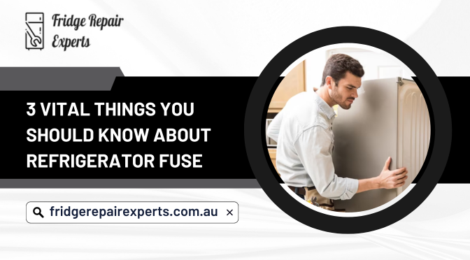 3 Vital Things You Should Know About Refrigerator Fuse