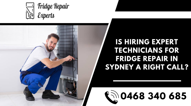 Is Hiring Expert Technicians For Fridge Repair in Sydney A Right Call?