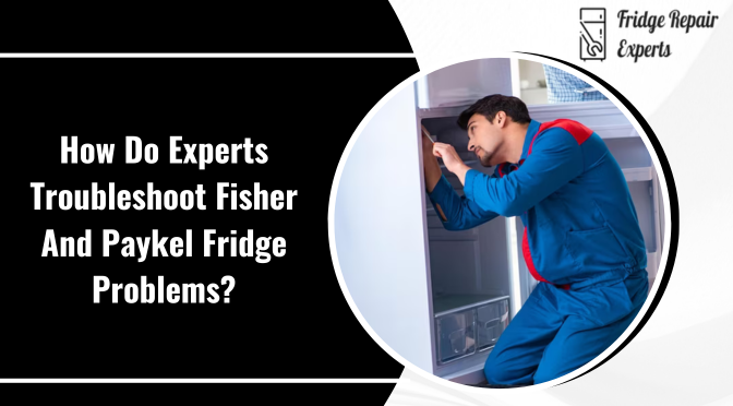 Fisher and Paykel Fridge Repairs Sydney