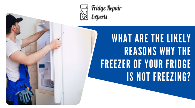 What are the Likely Reasons Why The Freezer of Your Fridge is not Freezing?