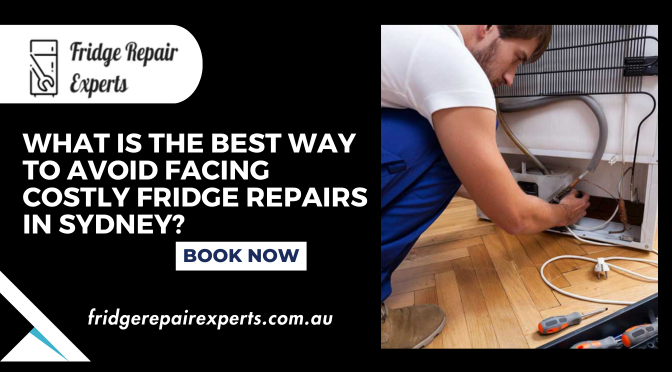 Fridge Repairs Sydney