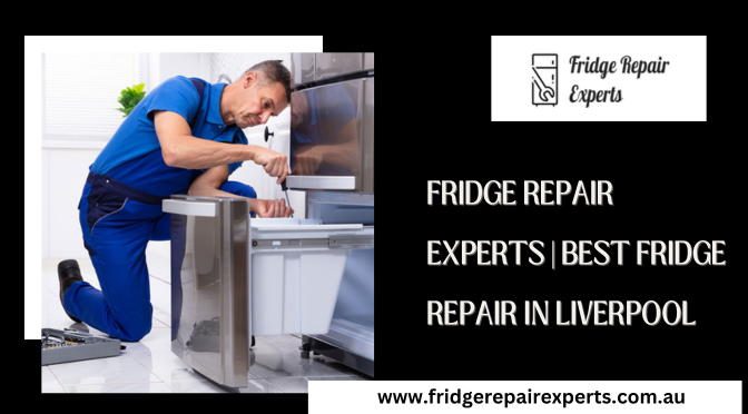 Why Are Fridge Repairs Done Stepwise By Professionals?