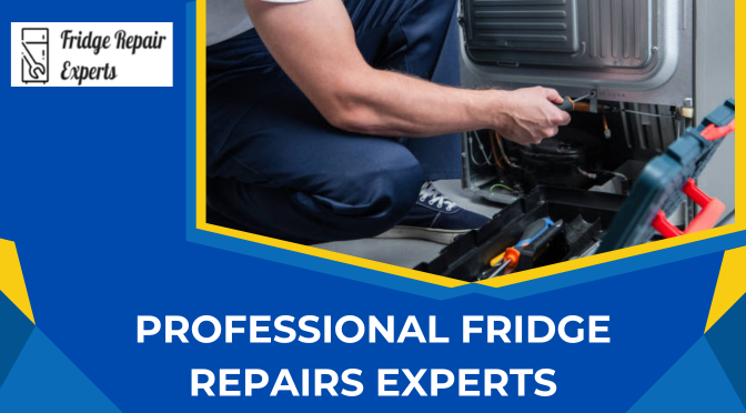 professional Fridge Repairs Experts
