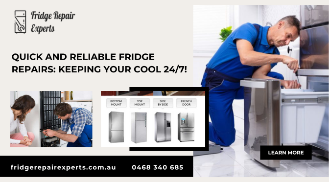 Fridge Repairs