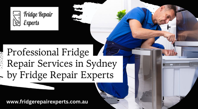 What Does Professional Fridge Repair Services Bring?