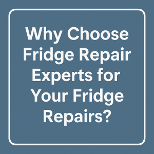 Why choose experts for reliable fridge repairs and services?