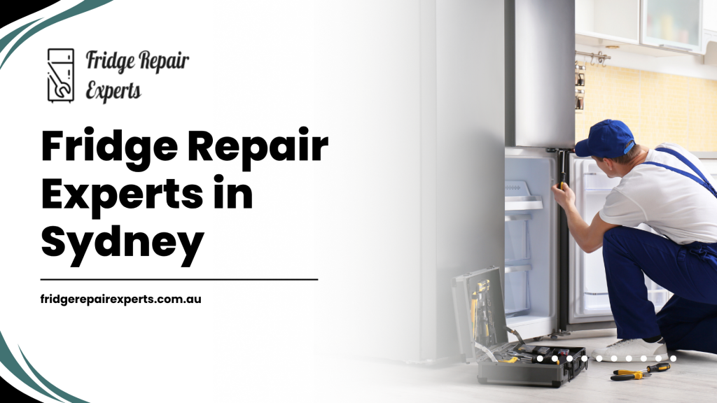 Fridge Repair Experts in Sydney