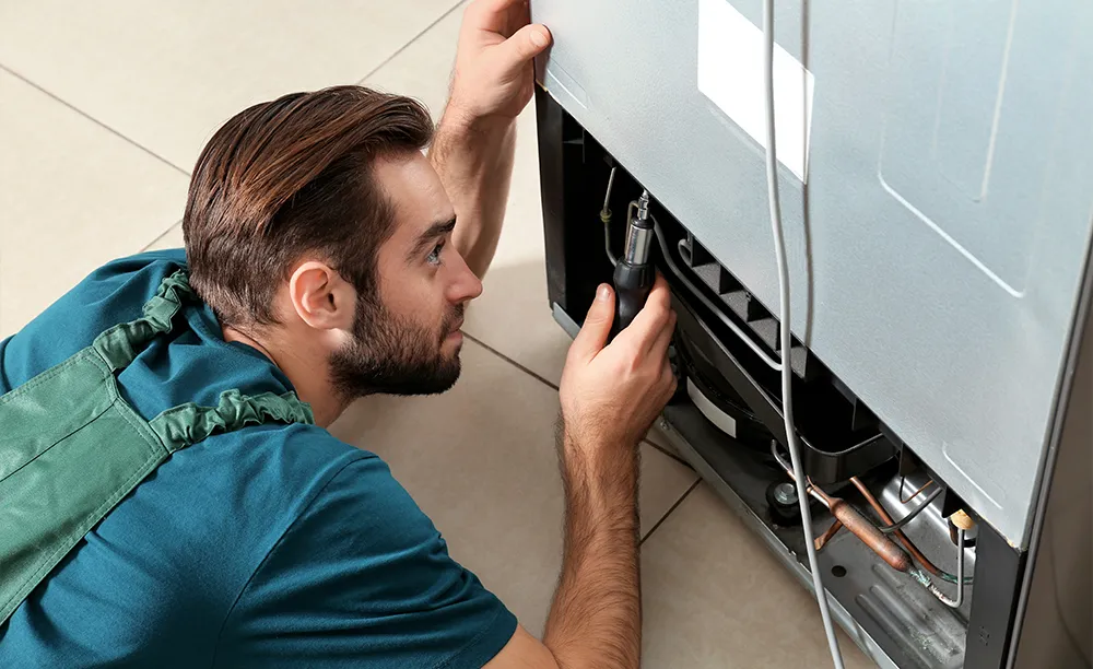Fridge Repairs Botany Sydney