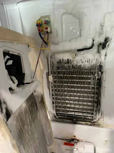 Commercial freezer service
